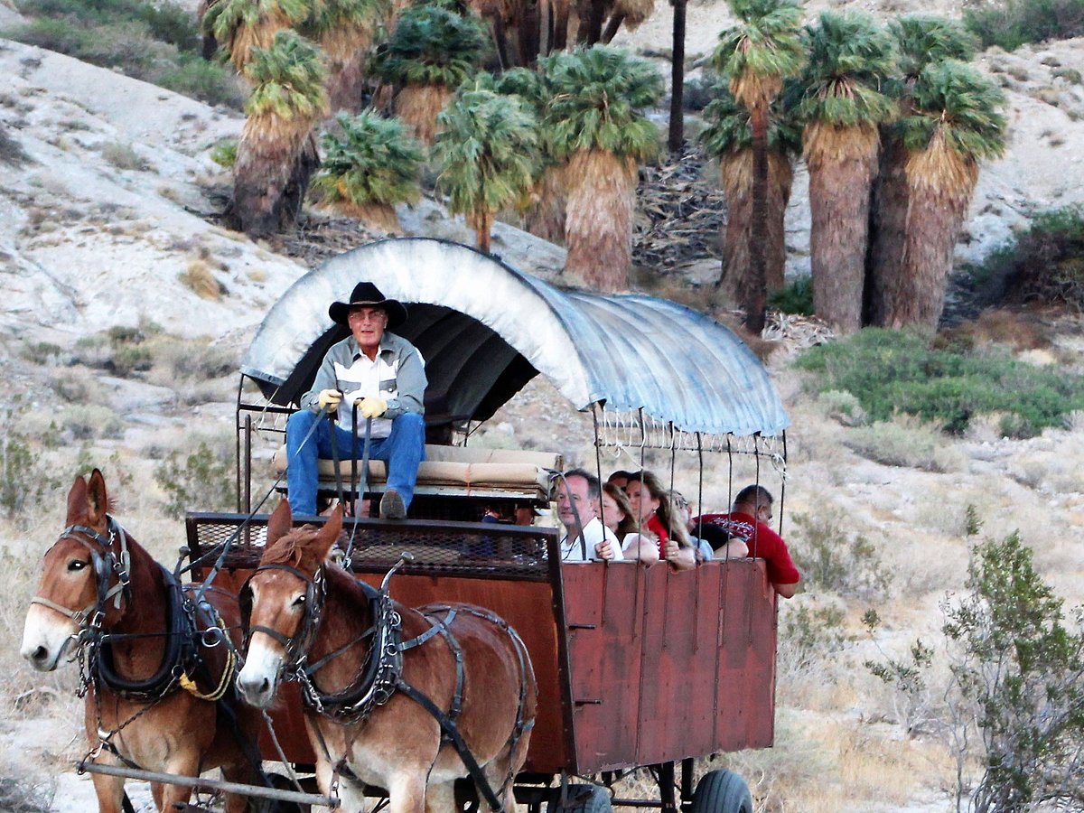 Exploring Palm Springs With Covered Wagon Tours